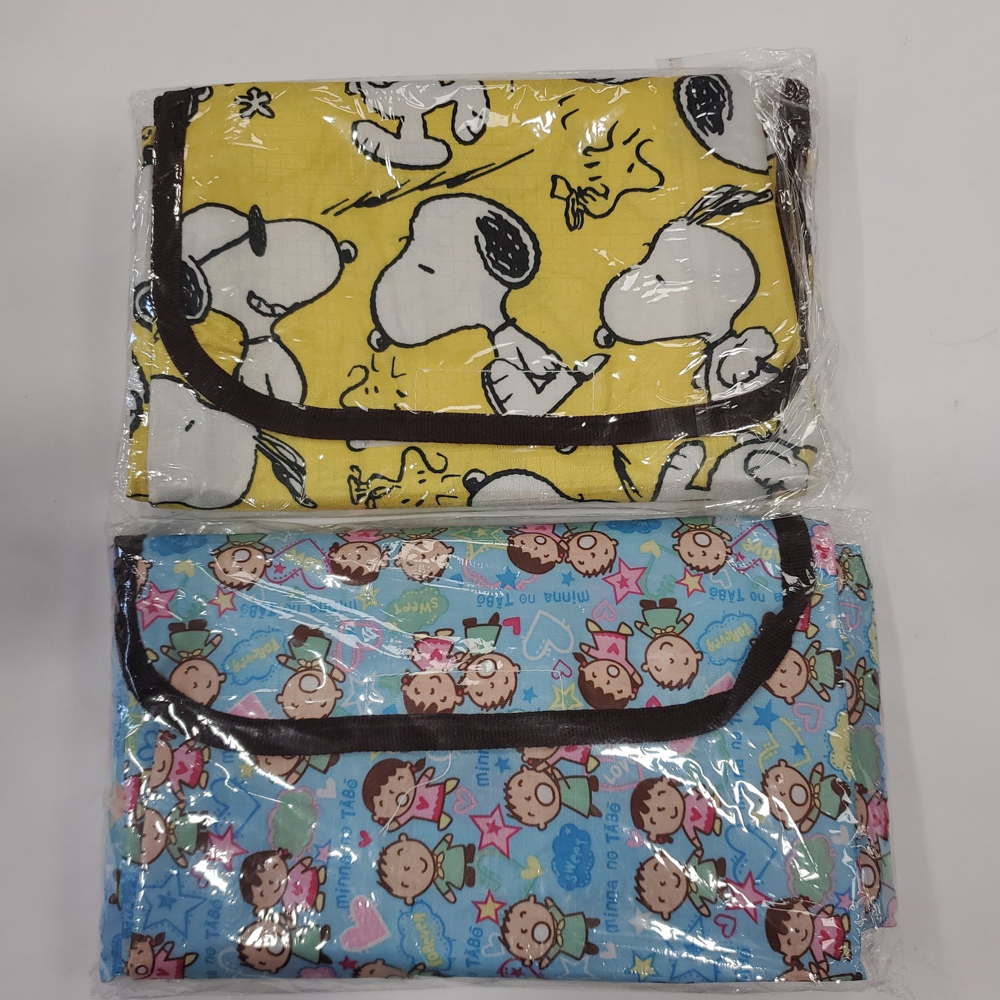 Cartoon Picnic Blanket 卡通野餐地𥱊