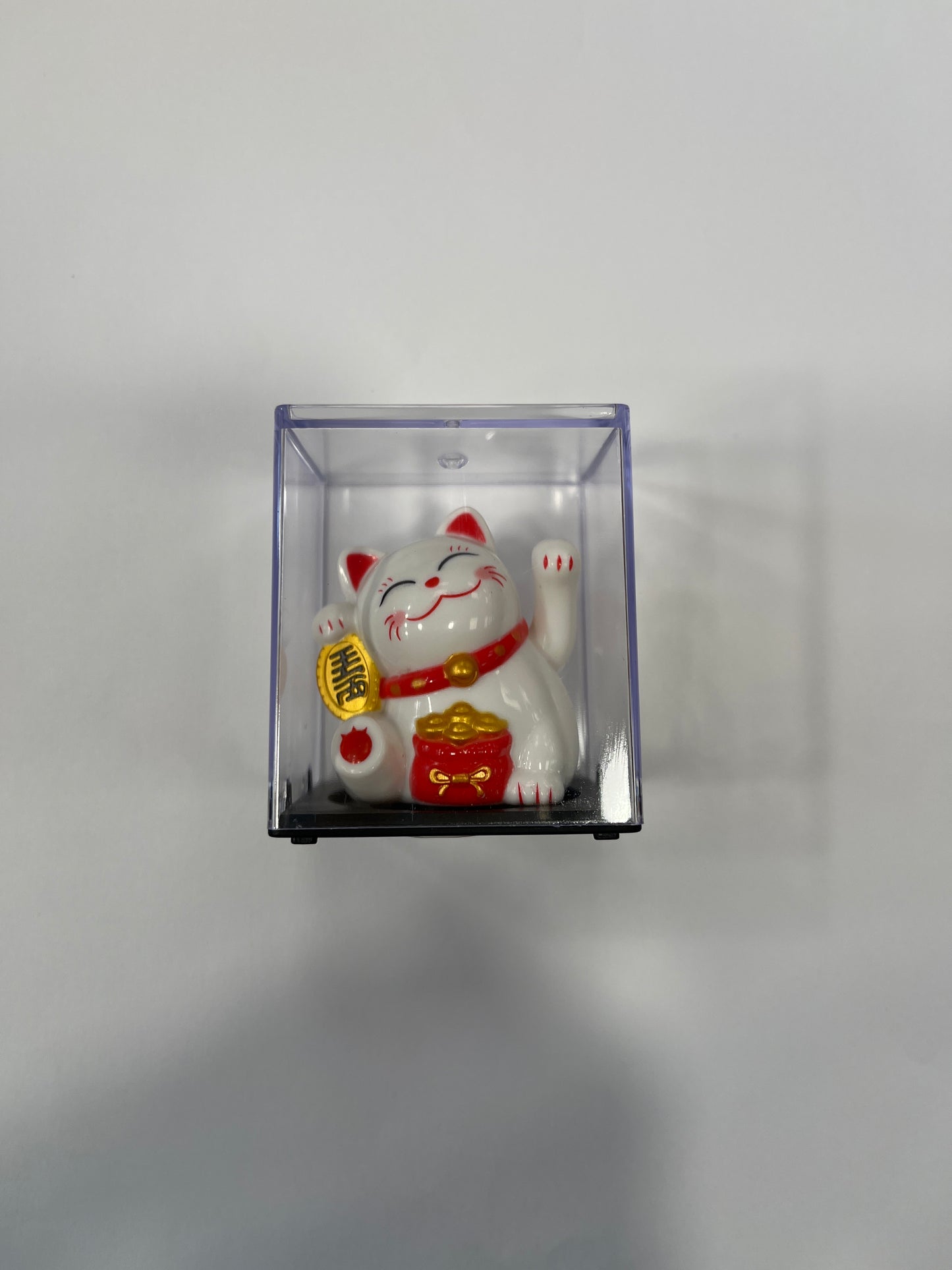 Lucky Cat
