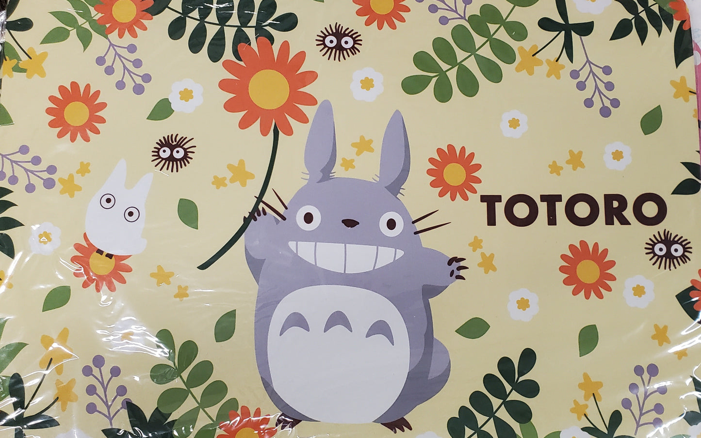 Totoro Mat