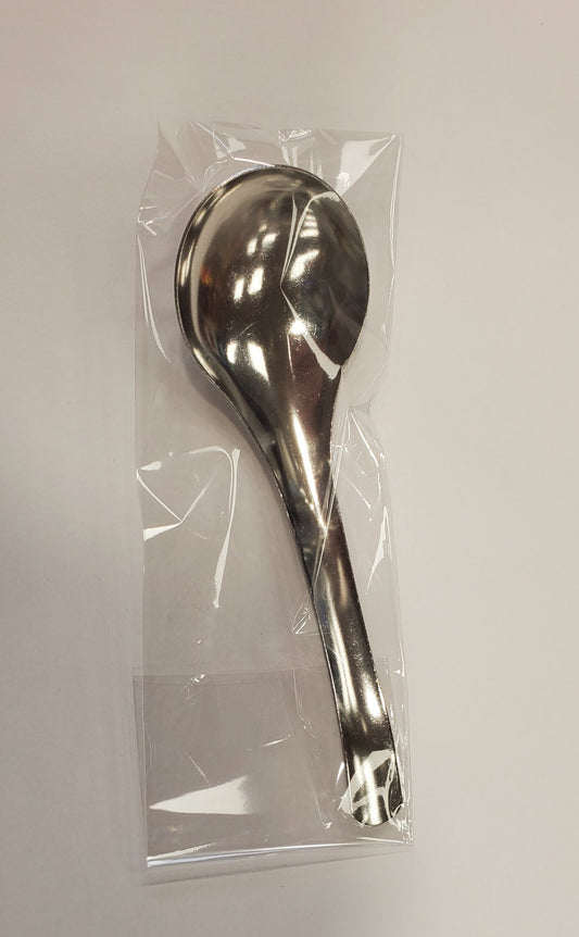 Stainless Steel Spoon