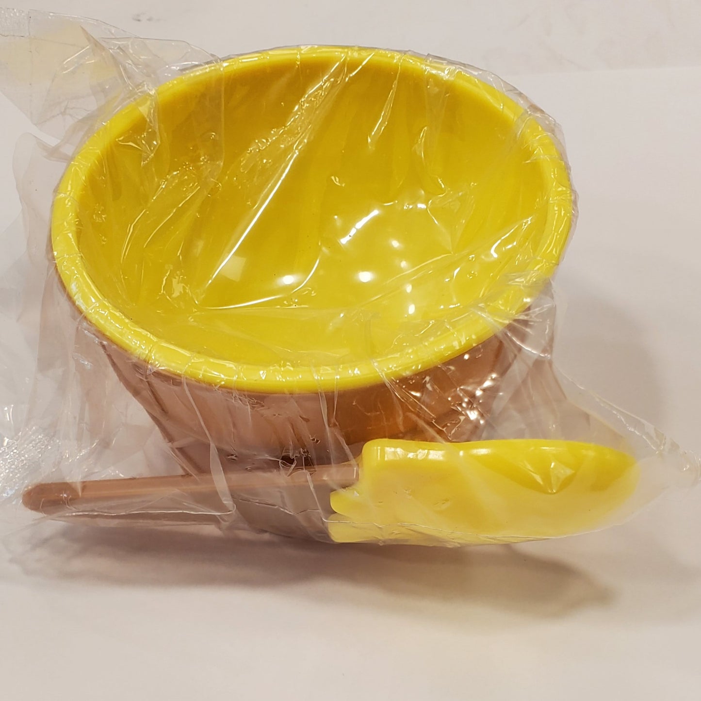 Ice Cream Bowl and Spoon Set